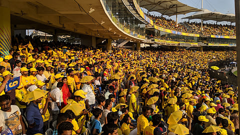 CSK Crowd