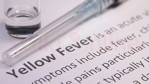 Yellow fever