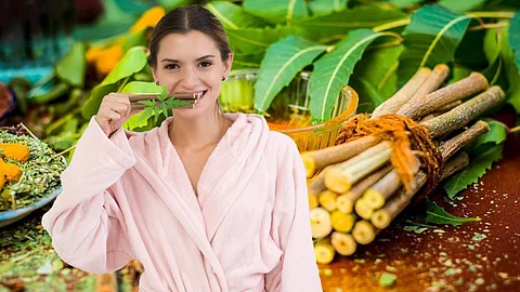 Neem Stick and Lady