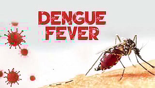 Dengue Fever