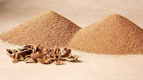 Walnut Shell Powder