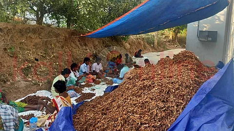 Tamarind juice