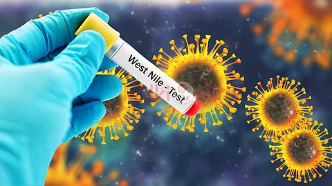 West Nile Virus