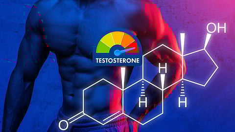 Testosterone