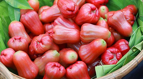 water Apple