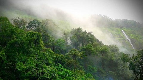 மேல்நோக்கு அருவி...