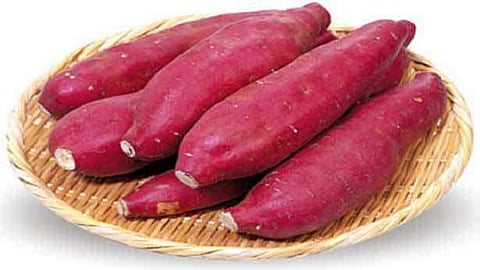 சர்க்கரை வள்ளிக்கிழங்கு