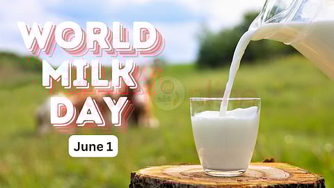 World Milk Day