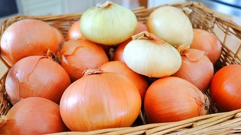 Onion