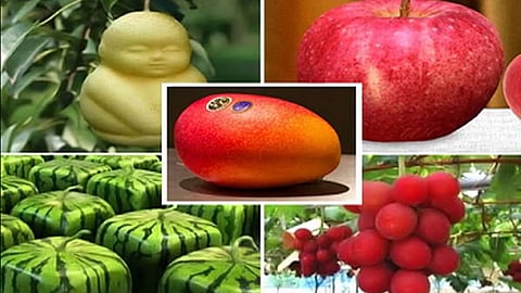 Expensive Fruits