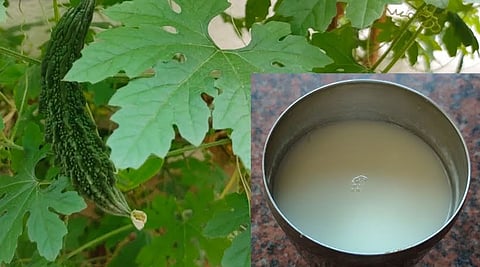 Bagal leaf extract