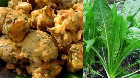 காசினி கீரை போண்டா
