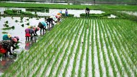 மண்ணின் சிரிப்பில் அடங்கியுள்ளது மனித குலத்தின் எதிர்காலம்!