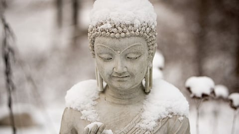 முஷின் நுட்பம்