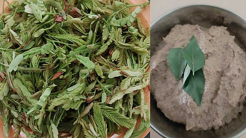 சிந்த சிகுரு பச்சடி...