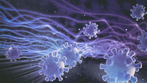 Bacteria