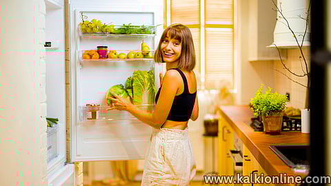 Tips to Properly Maintain Fridge in Rainy Season!