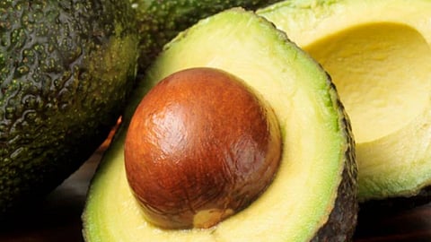 Avocado seed