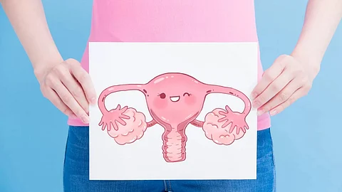 uterus