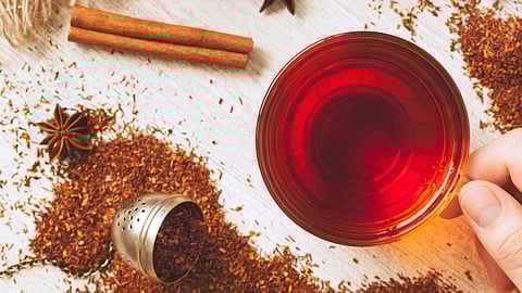 Rooibos Tea