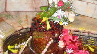 மலர்களின் பலன்கள்...