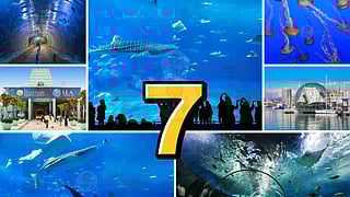 Best Aquariums in the World