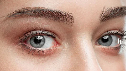 eye