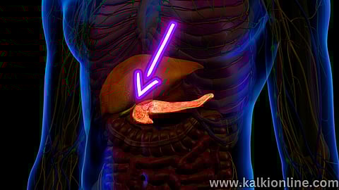 Pancreatic damage and its symptoms!
