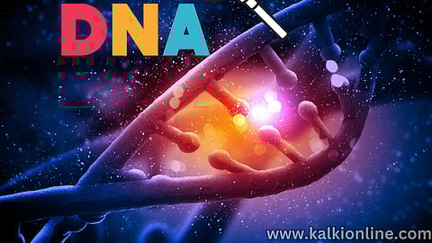 DNA