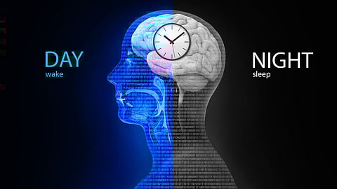 சர்க்காடியன் ரிதம்