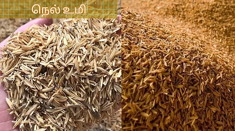 Paddy Husk