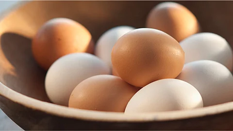 Egg