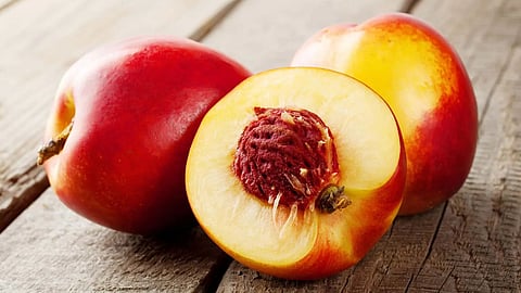 nectarine fruit