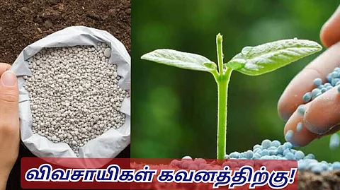DAP fertilizer
