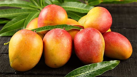 மாம்பழம்