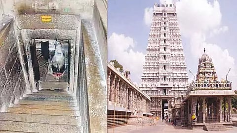 Thiruvannamalai pathala lingeswarar