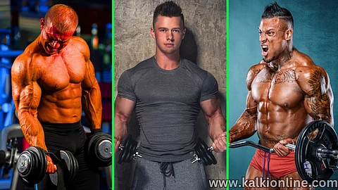 Biceps Exercises That Give Good Results!