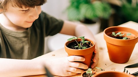 What is the Value of being honest?