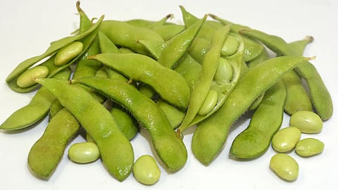 எடமாமே பீன்ஸ்