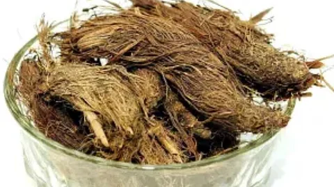 சடாமாஞ்சில்
