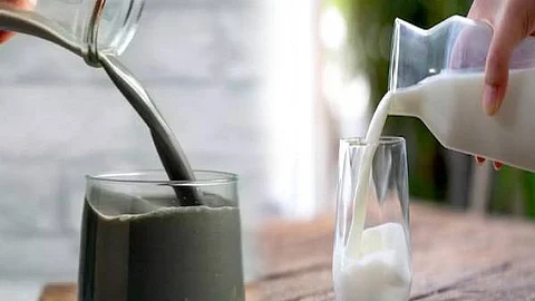 Animal gives Different colour milk