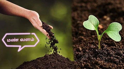 Soil Fertility