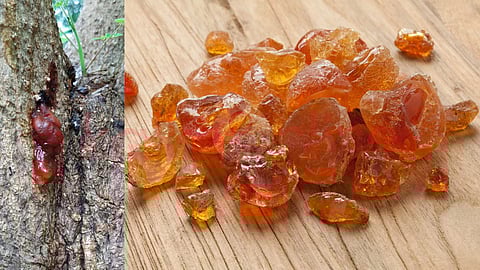 Drumstick resin