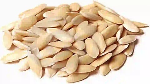 வெள்ளரி விதை