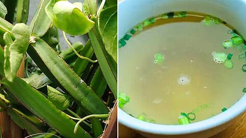 பிரண்டை சூப் செய்முறை.