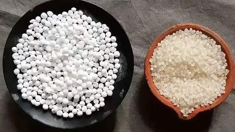 ஜவ்வரிசி