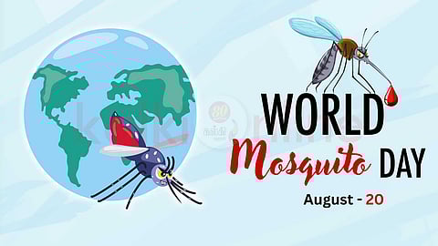 World Mosquito Day