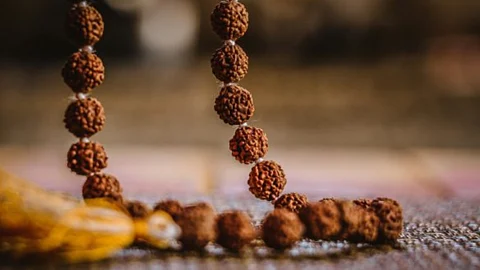 Rudraksha