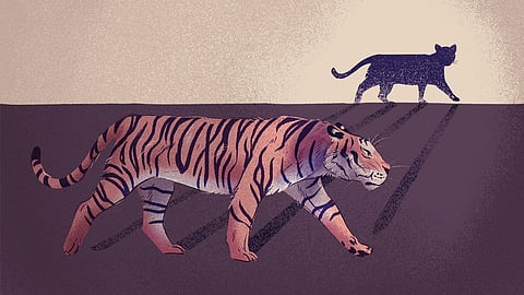 Do you know what 'imposter syndrome' is?