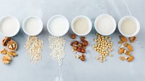 தாவரப் பால் வகைகள்
